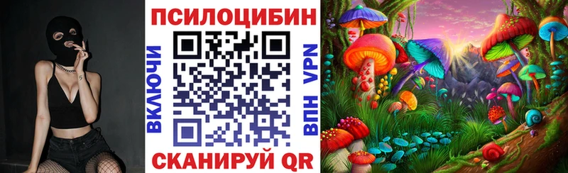 купить наркотик  Серпухов  Псилоцибиновые грибы мухоморы 