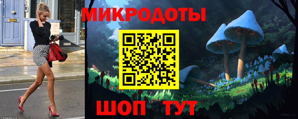 Галлюциногенные грибы ЛСД  Серпухов  Псилоцибиновые грибы Psilocybine cubensis 